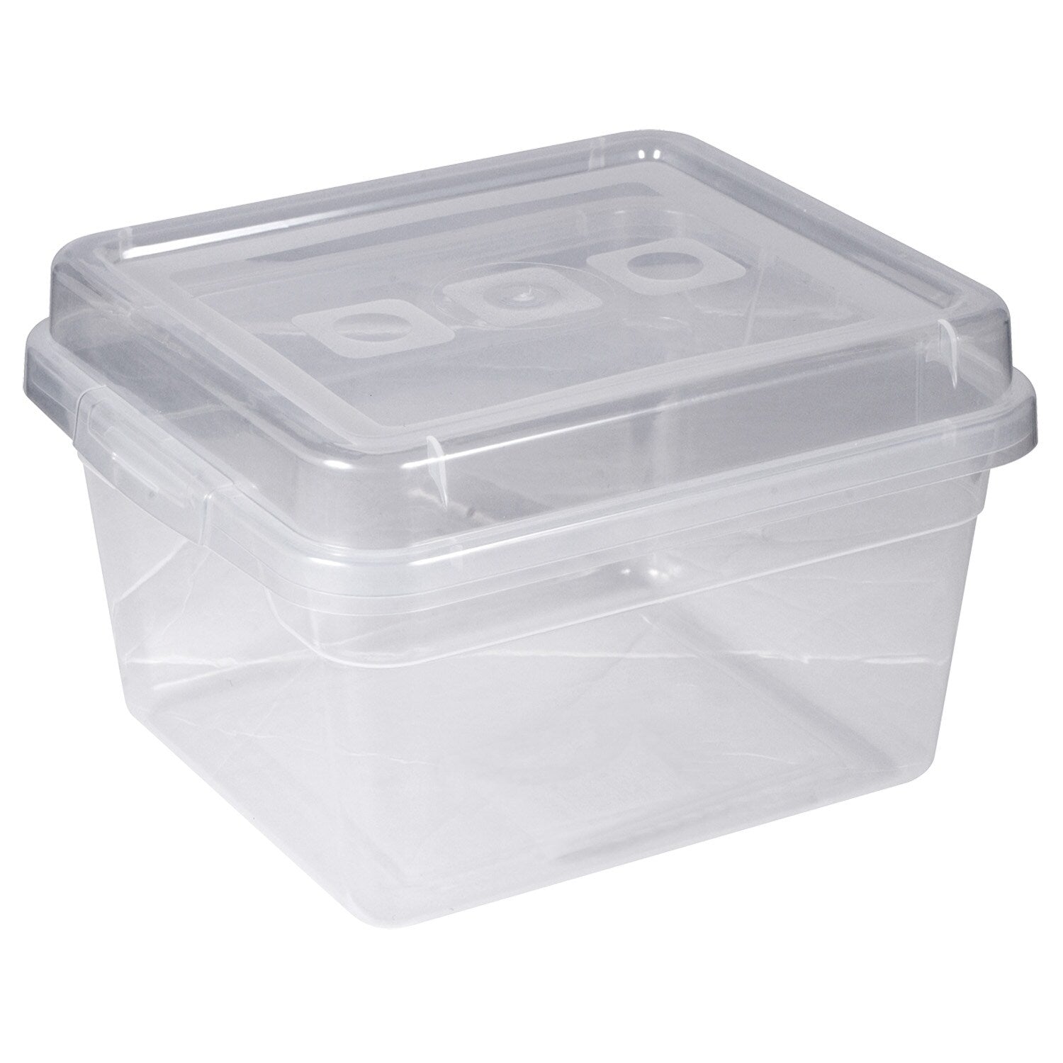 Rectangular Translucent Plastic Storage Containers with Lids (Pack of 24)