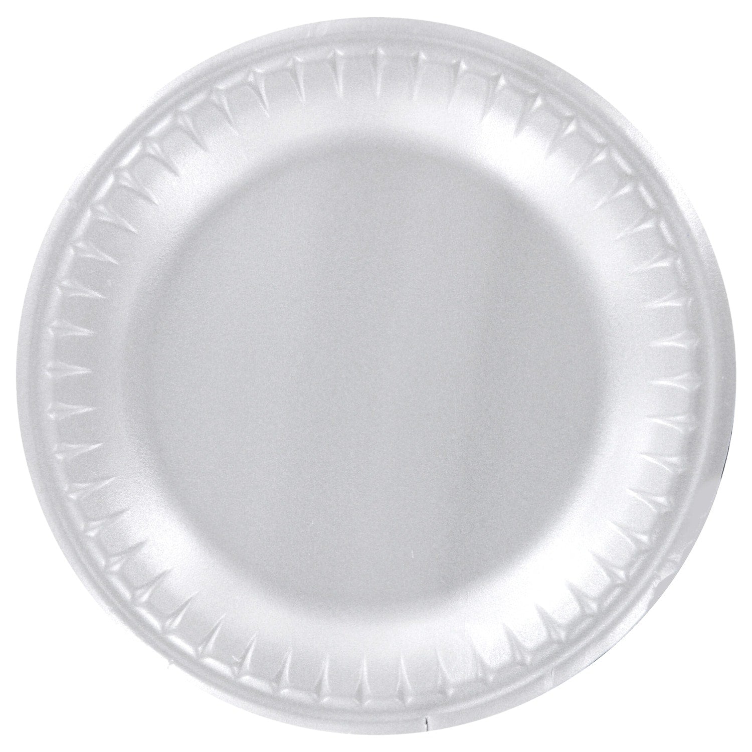 White Foam Dinner Plates, 9 in. (Pack of 32)