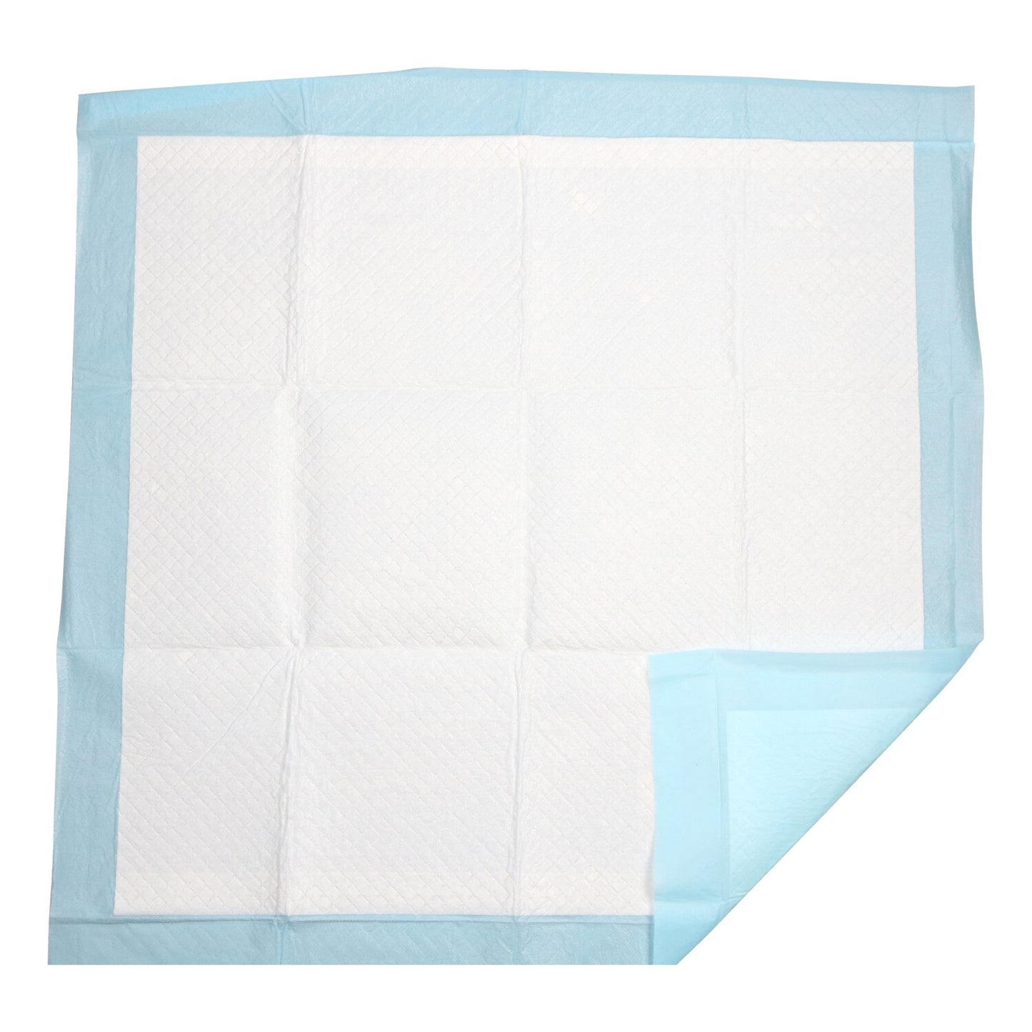 Greenbrier Kennel Club XXL Puppy Training Pads, 2-ct. Packs (Pack of 24)