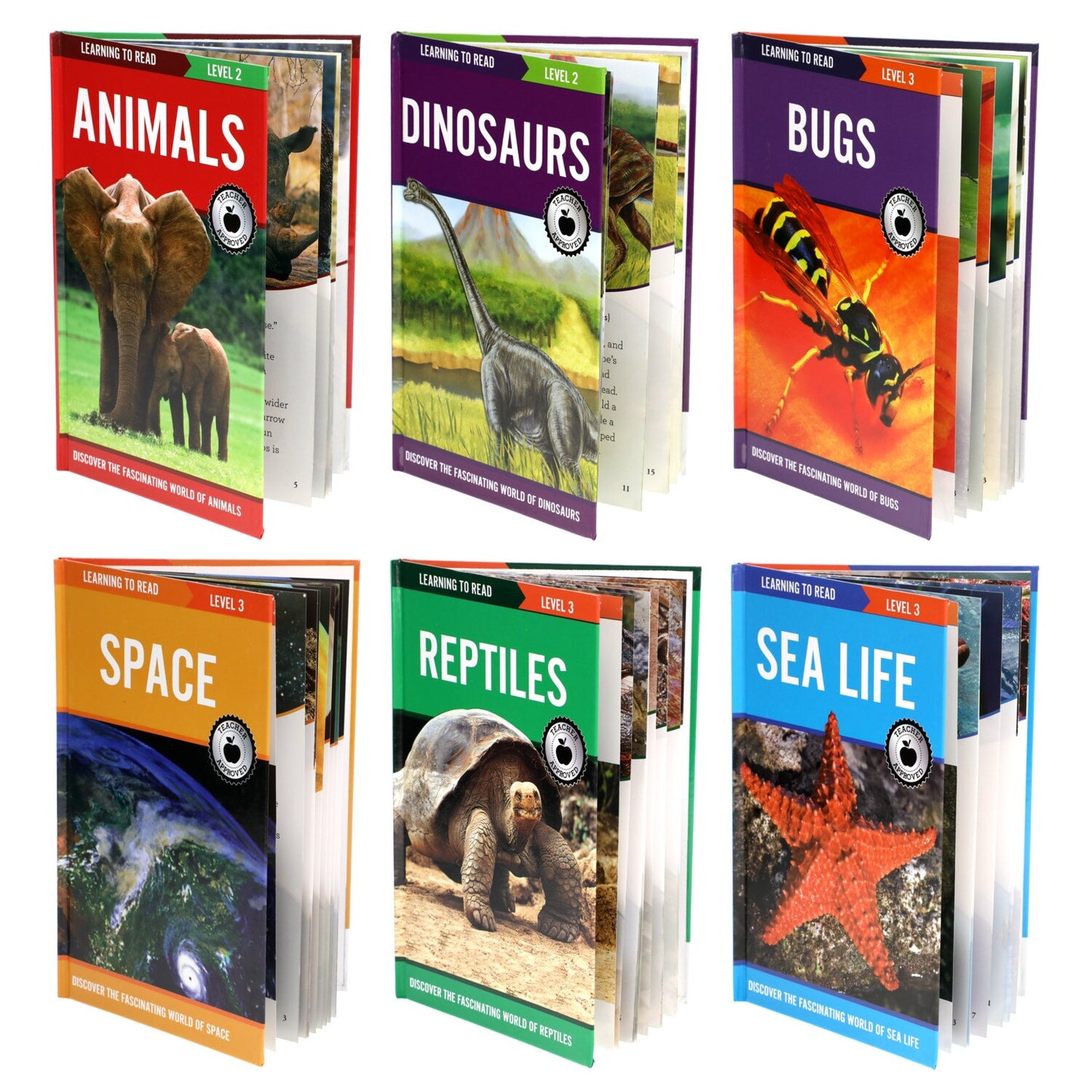 Learning to Read Books, 24 Pages (Pack of 24)