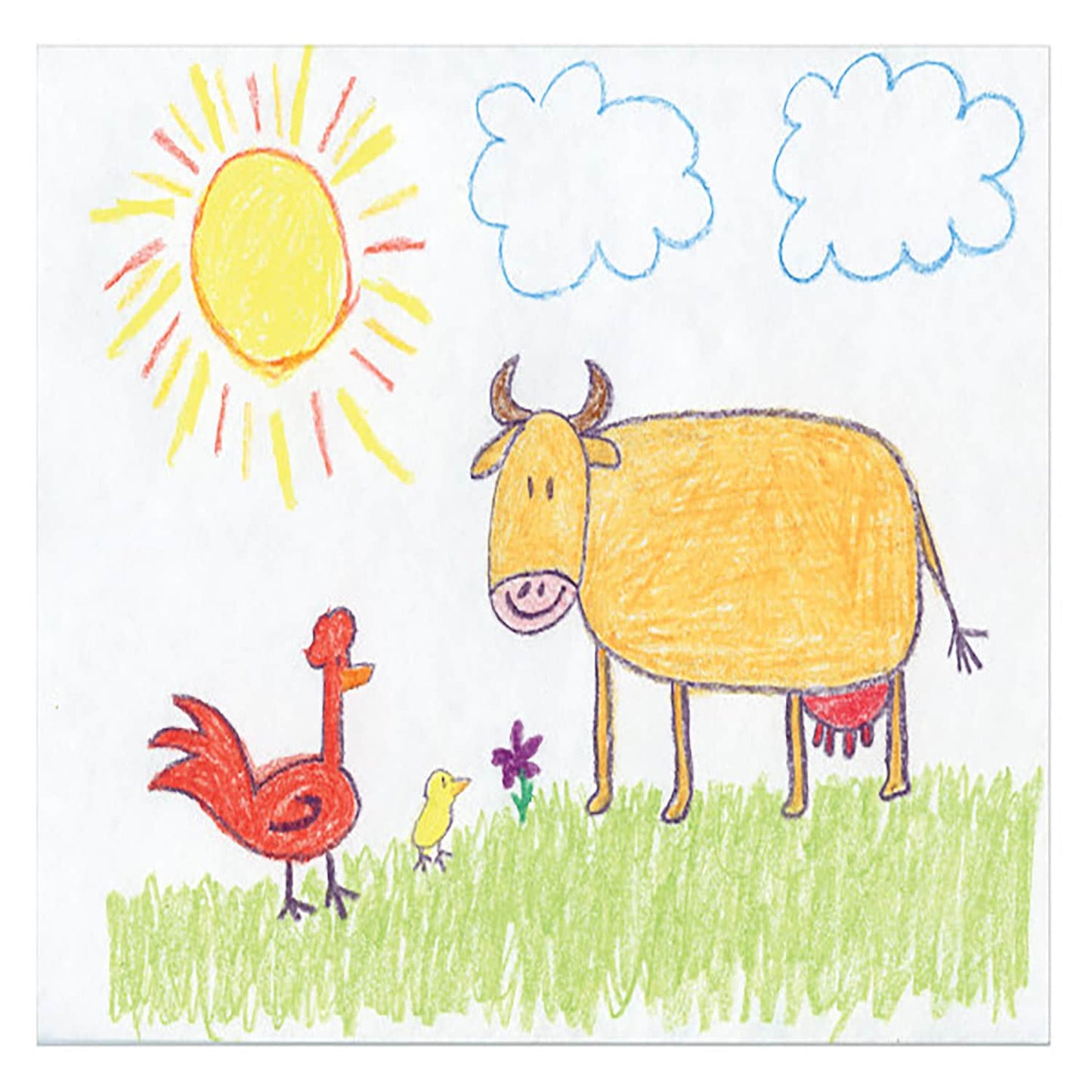 Drawing Pads, 9x12 in. (Pack of 48)